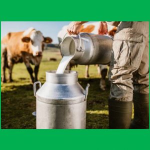 Dairy Equipment