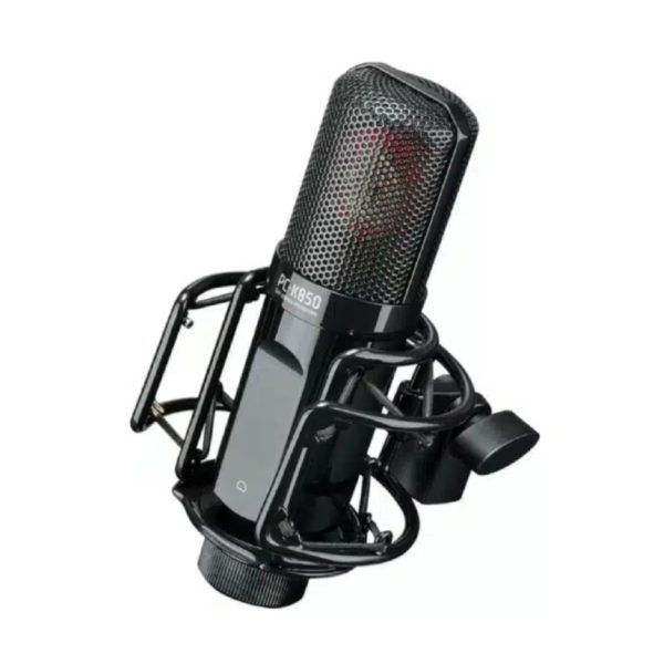 Takstar PC-K850 Professional Large-Diaphragm Condenser Microphone with Shock Mount & Aluminum Case