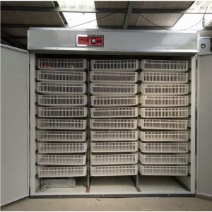AgroSolar 2,500-Egg Automatic Digital Commercial Solar Incubator