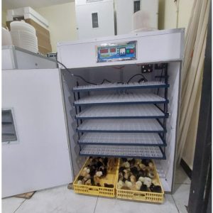 AgroTech 1,584-Egg Automatic Digital Commercial Solar Incubator