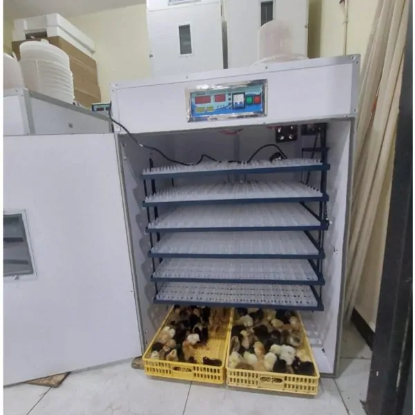 AgroTech 1,584-Egg Automatic Digital Commercial Solar Incubator
