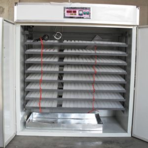 Kensun 1,232-Egg Automatic Digital Commercial Solar Incubator