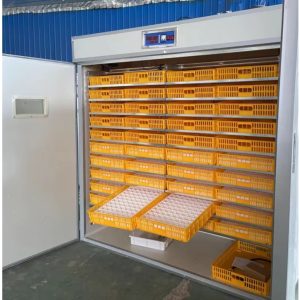 Kensun 2,112-Egg Automatic Digital Commercial Solar Incubator