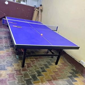 High-Quality Tennis Table with Net, Bats & Ball