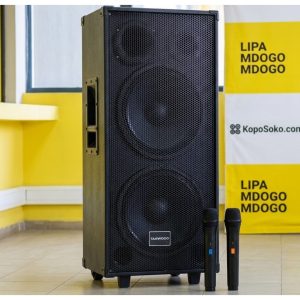 Tagwood LTS-10B Portable Double Speaker Bluetooth and 2 Mics