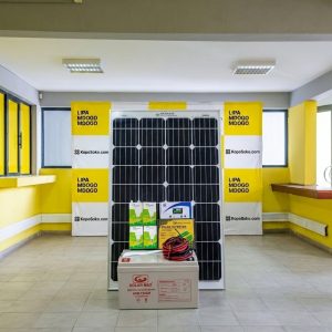 Solarmax 250 Watts All Weather Solar Kit -  All Inclusive Package